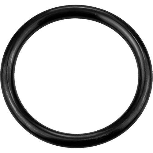 Black Replacement O-Ring, Plain Equipment World