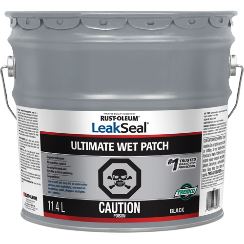 LeakSeal&reg; Ultimate Wet Roof Patch Equipment World