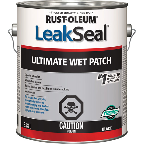 LeakSeal&reg; Ultimate Wet Roof Patch Equipment World