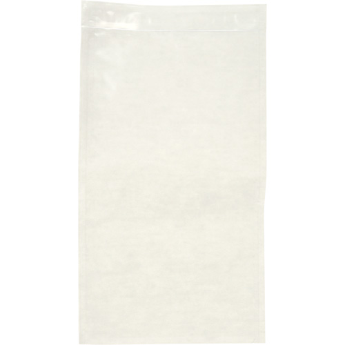 Non-Printed Packing List Envelope, 10" L x 5-1/2" W, Endloading Style Equipment World