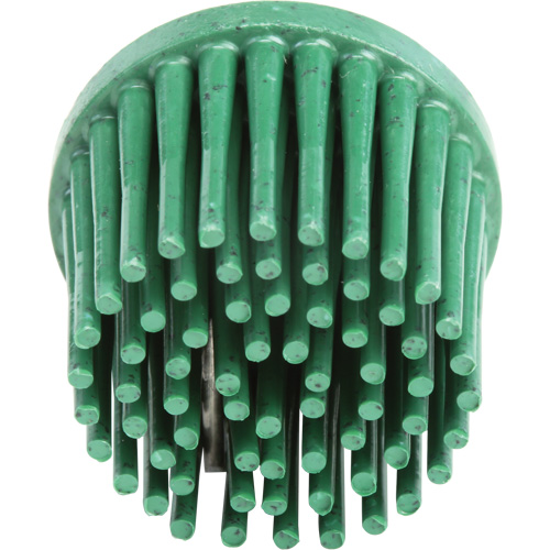 Disques bristle Roloc, Grain 120, 1" dia. Equipment World