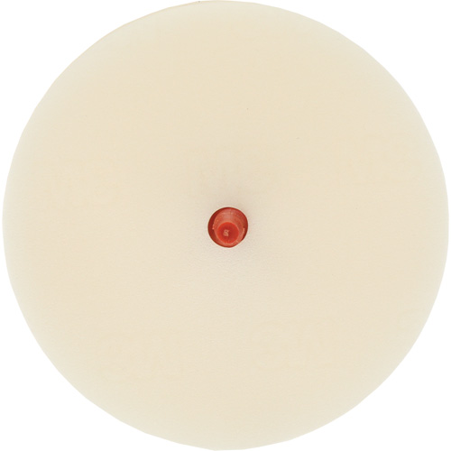 Disque pour enlever les bandes et les adh&eacute;sifs pour moulures Scotch-Brite, 4" dia. Equipment World