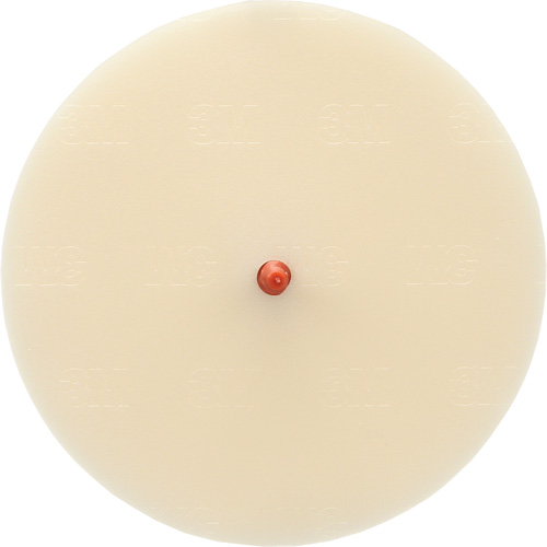 Scotch-Brite Moulding Adhesive and Stripe Removal Disc 7502, 6" Dia. Equipment World