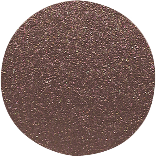 Wood Sanding Disc, 12" Dia., 80 Grit Equipment World