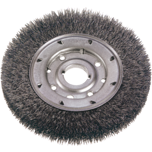 Crimped Wire Wheel Brushes - Medium Face, 8" Dia., 0.0118" Fill, 2" Arbor Equipment World