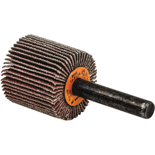 Flap Wheels-Coolcut Flap Wheels, Aluminum Oxide, 80 Grit, 1" x 1" x 1/4" Equipment World