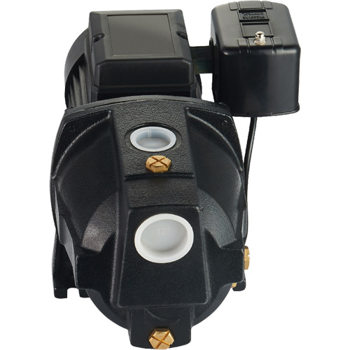 Pompe &agrave; jet en fonte &agrave; double tension pour puit peu profond, 115 V/230 V, 1100 gal./h, 1 CV Equipment World