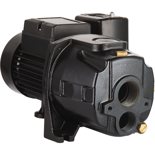 Dual Voltage Cast Iron Convertible Jet Pump, 115 V/230 V, 1400 GPH, 3/4 HP Equipment World