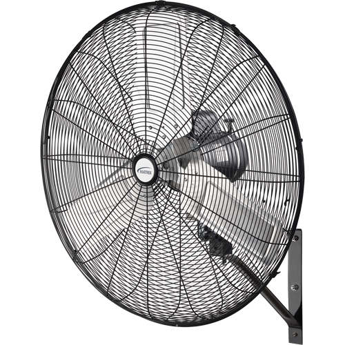 Oscillating Wall Fan, Industrial, 2 Speed, 30" Diameter Equipment World