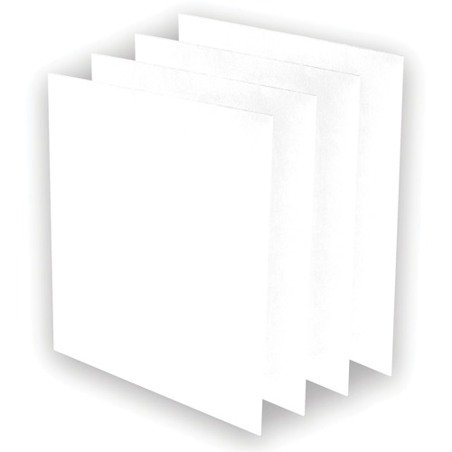 Pr&eacute;-filtres AeraMax Pro AM3 ou AM4, 13,75" la x 0,13" p x 14,38" h Equipment World