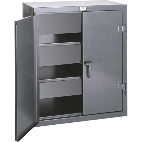 Armoires de rangement hauteur comptoir, Acier, 2 Tablettes, 36" h x 36" la x 20" P, Gris Equipment World