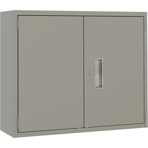 Armoire murale, Acier, 2 Tablettes, 30" h x 36" la x 12" P, Gris Equipment World