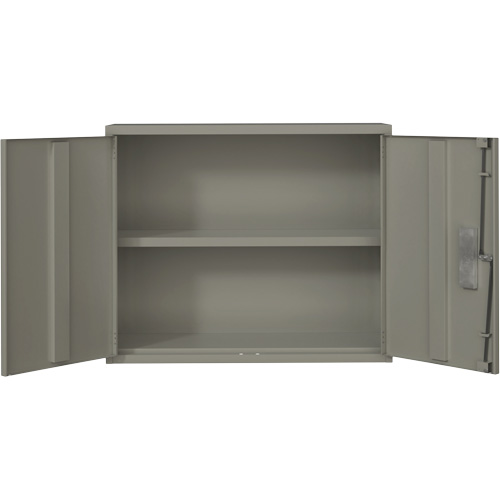 Armoire murale, Acier, 2 Tablettes, 30" h x 36" la x 12" P, Gris Equipment World