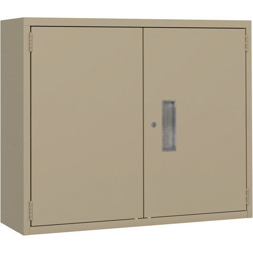 Armoire murale, Acier, 2 Tablettes, 30" h x 36" la x 12" P, Beige Equipment World