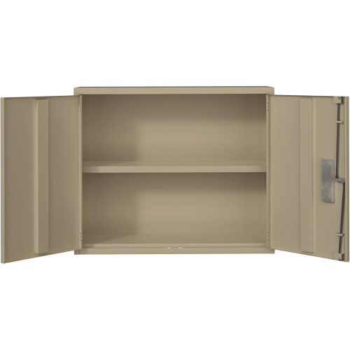 Armoire murale, Acier, 2 Tablettes, 30" h x 36" la x 12" P, Beige Equipment World