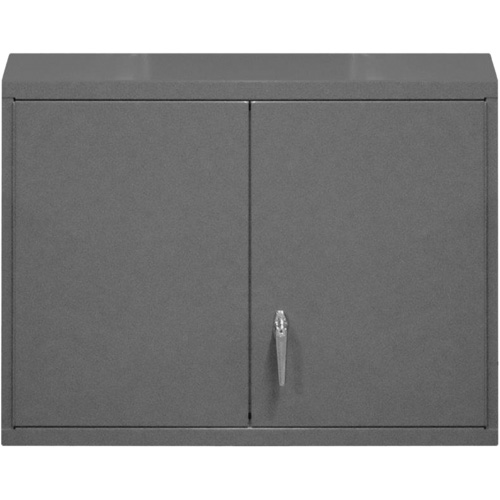 Wall-Mounted Cabinet, 27" H x 29-7/8" W x 13-11/16" D, 2 Shelves, Steel, Grey Equipment World