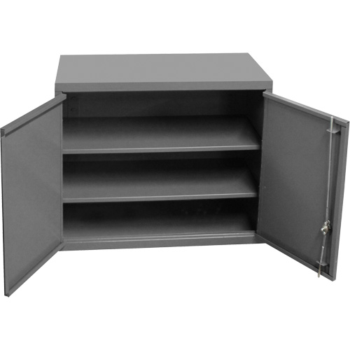Wall-Mounted Cabinet, 27" H x 13-11/16" W x 35-7/8" D, 2 Shelves, Steel, Grey Equipment World