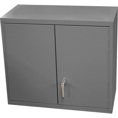 Wall-Mounted Cabinet, 27" H x 13-11/16" W x 35-7/8" D, 2 Shelves, Steel, Grey Equipment World