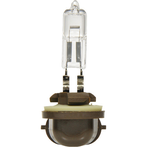 886 Basic Fog Light Bulb, Halogen, 50 W, Off White Equipment World