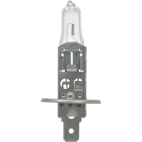 64155 Basic Automotive Bulb, Halogen, 78 W, Off White Equipment World