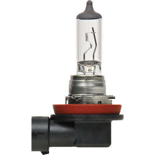 H8 Basic Headlight Bulb, Halogen, 35 W, Off White Equipment World