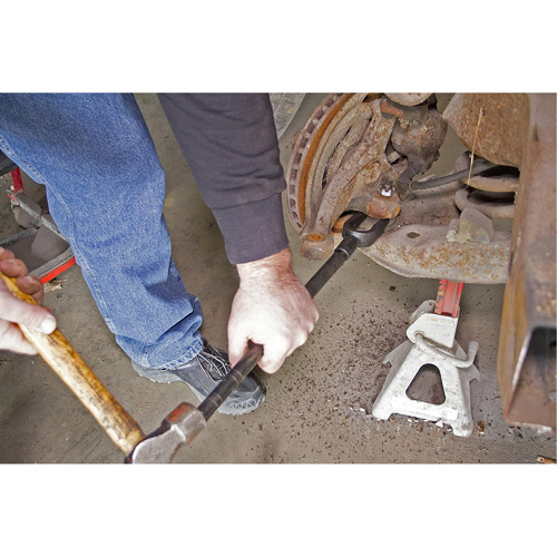 5-Piece Thick Pickle Fork Set Equipment World