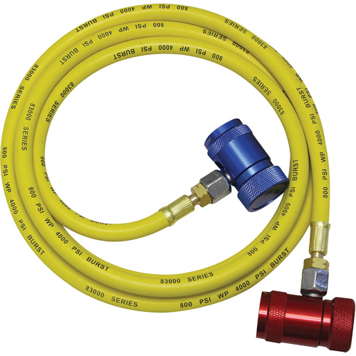 R1234yf A/C System Flush Hose Assembly Equipment World