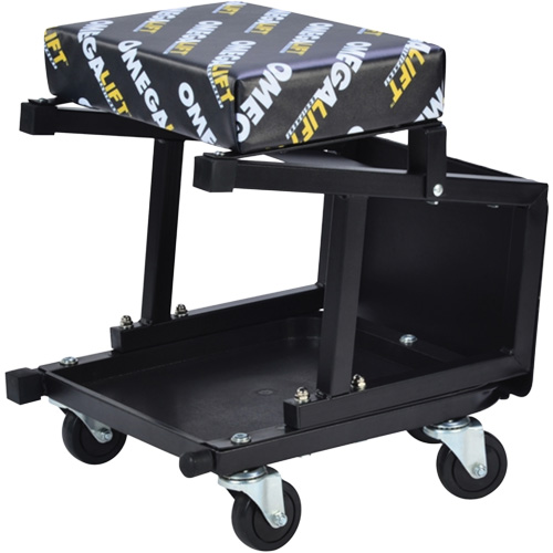 2-in-1 Seat-Stool Combo Equipment World