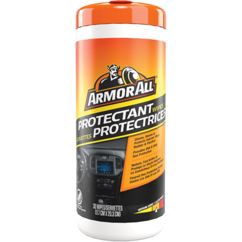 Original Protectant Wipes Equipment World