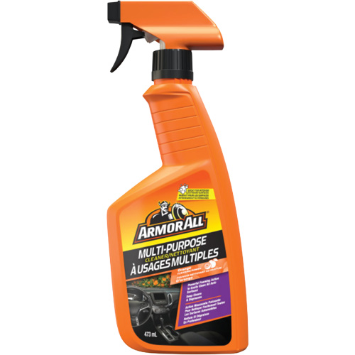 Multi-Purpose Auto Cleaner, 16 oz./473 ml, Trigger Bottle Equipment World