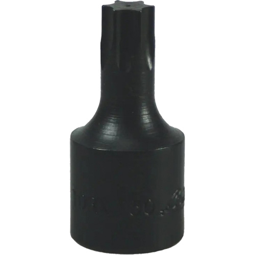 T-50 Torx&reg; Bit Equipment World