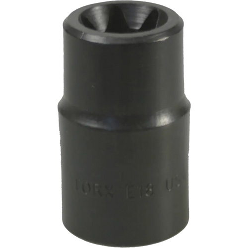 E-18 Torx&reg; Socket Equipment World
