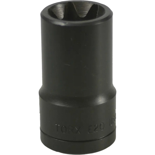 E-20 Torx&reg; Socket Equipment World