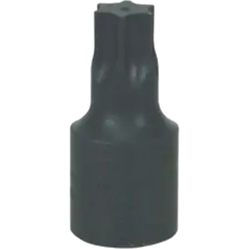 Large T-70 Torx&reg; Bit Equipment World