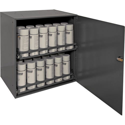 Aerosol Storage Cabinet, Steel, 21-7/8" H x 15-15/16" W x 20-5/16" D, Grey Equipment World
