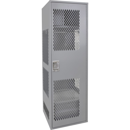 Gear Locker with Door, Steel, 24" W x 24" D x 72" H, Grey Equipment World
