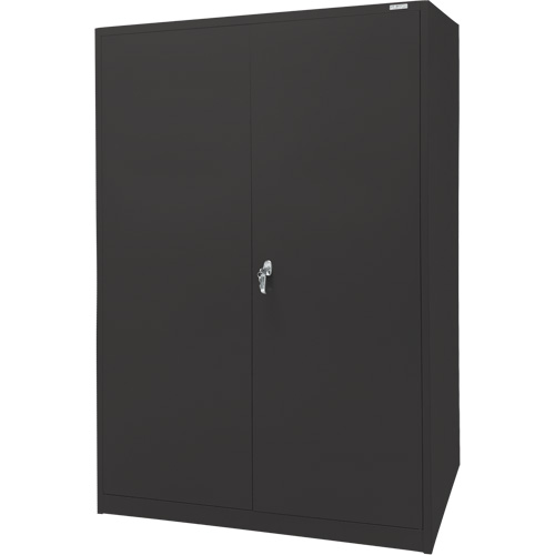 Armoire d'entreposage, Acier, 4 Tablettes, 78" h x 48" la x 24" P, Noir Equipment World