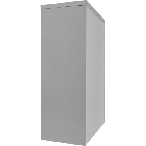 Counter-High Storage Cabinet, Steel, 2 Shelves, 42" H x 30" W x 15" D, Grey Equipment World