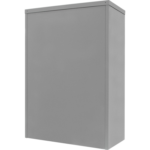 Counter-High Storage Cabinet, Steel, 2 Shelves, 42" H x 30" W x 15" D, Grey Equipment World