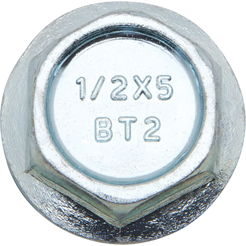 Boulons Wedge Bolts, Acier au carbone, 1/2" x 2" Equipment World