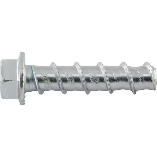 Wedge Bolts, Carbon Steel, 1/2" x 2-1/2" Equipment World