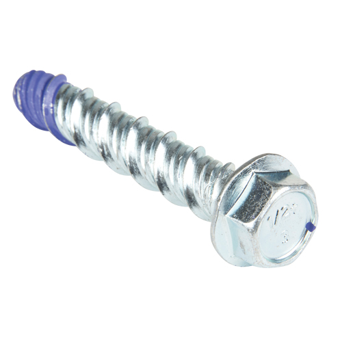 Wedge Bolts, Carbon Steel, 1/2" x 3" Equipment World