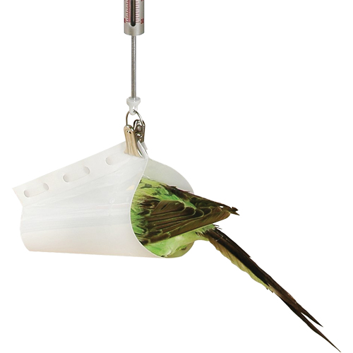 Micro Spring Scale Accessory - Bird Weighing Cone Equipment World