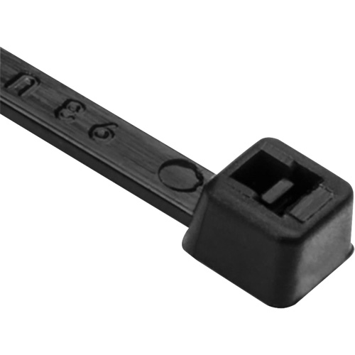 PA66 Cable Ties, 8" Long, 50 lbs. Tensile Strength, Black Equipment World
