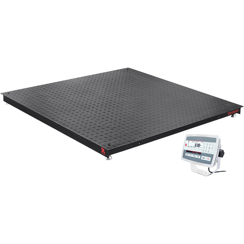 DEFENDER 5000 Floor Scale, 5000 lbs. Capacity, 48" W x 48" L Equipment World