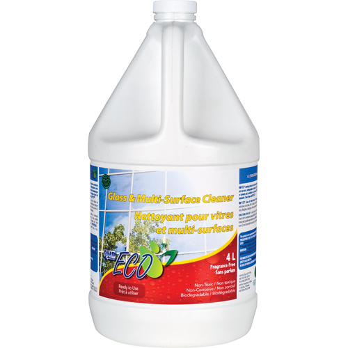 Glass & Multi-Surface Cleaners, 4 L, Jug Equipment World