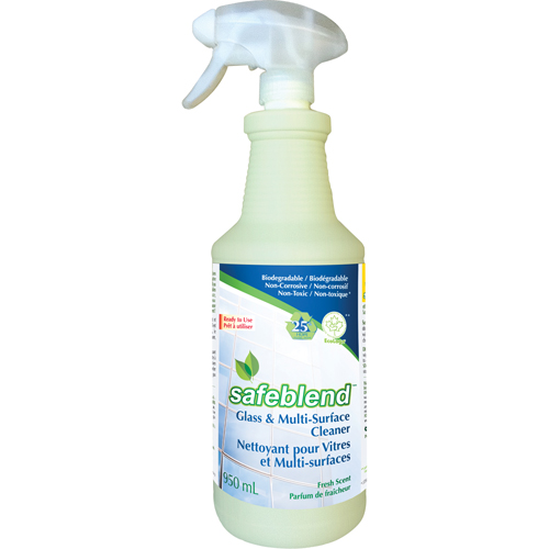 Fragrance-Free Glass & Multi-Surface Cleaner, 950 ml, Trigger Bottle Equipment World