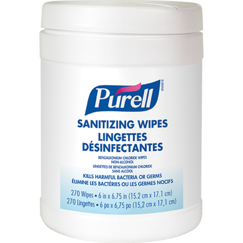 Hand Sanitizing Wipes, Canister Equipment World