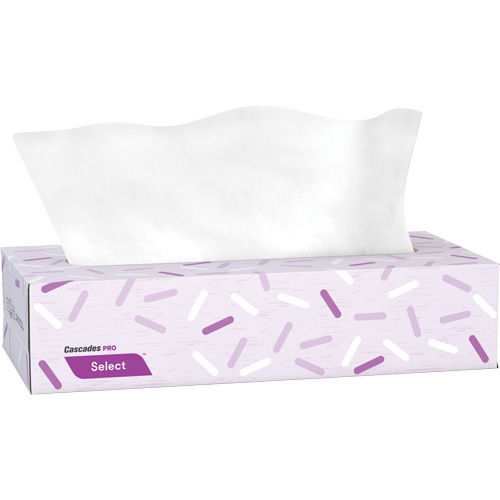 Pro Select Facial Tissue, 2 Ply, 7.3" L x 8.1" W, 100 Sheets/Box Equipment World