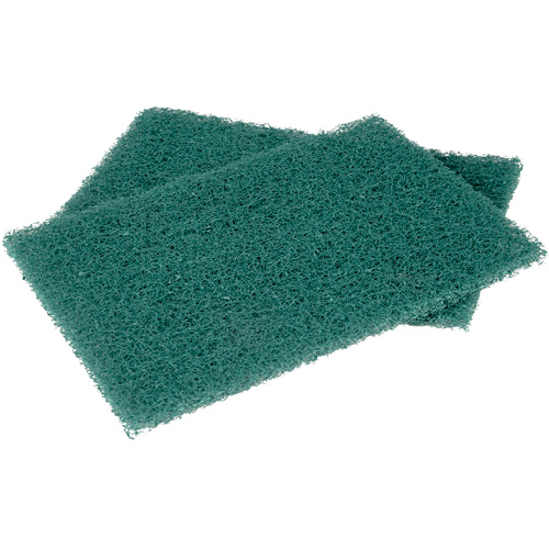 Scotch-Brite Hand Pads, Scrubbing, 6" W x 9" L Equipment World